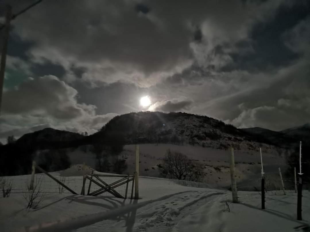 Storjord Farmstay Ranchhouse Kvaloya Εξωτερικό φωτογραφία