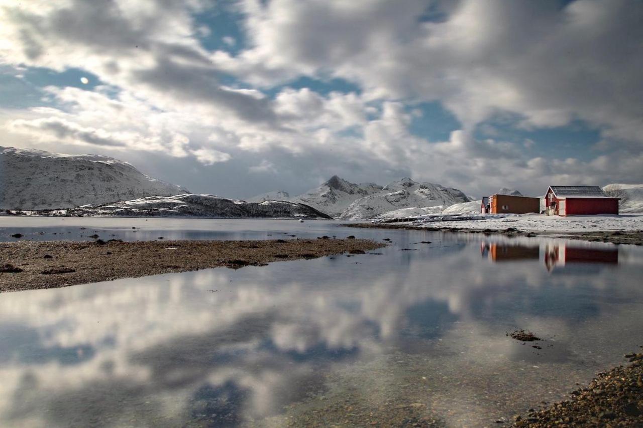 Storjord Farmstay Ranchhouse Kvaloya Εξωτερικό φωτογραφία