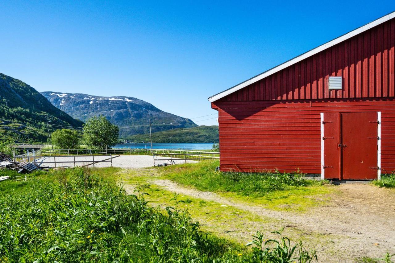 Storjord Farmstay Ranchhouse Kvaloya Εξωτερικό φωτογραφία