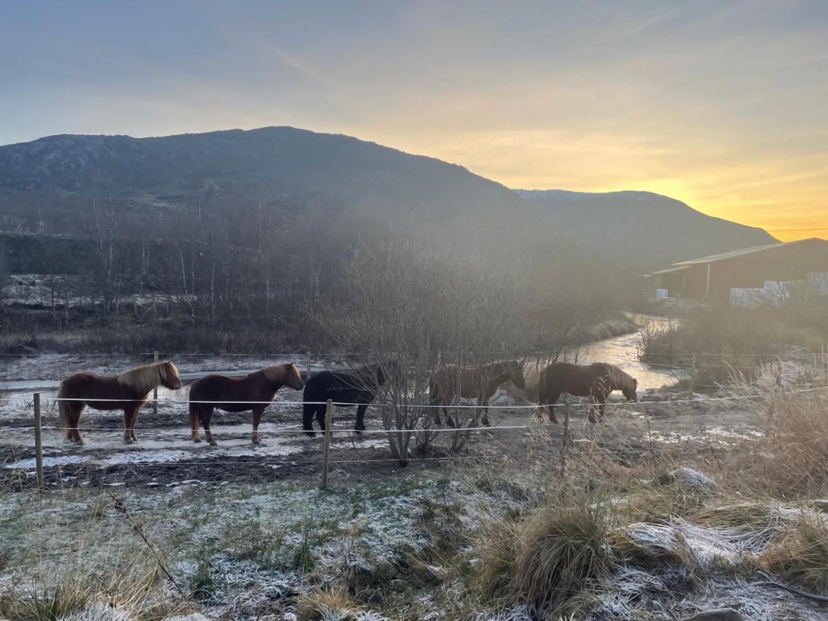 Storjord Farmstay Ranchhouse Kvaloya Εξωτερικό φωτογραφία